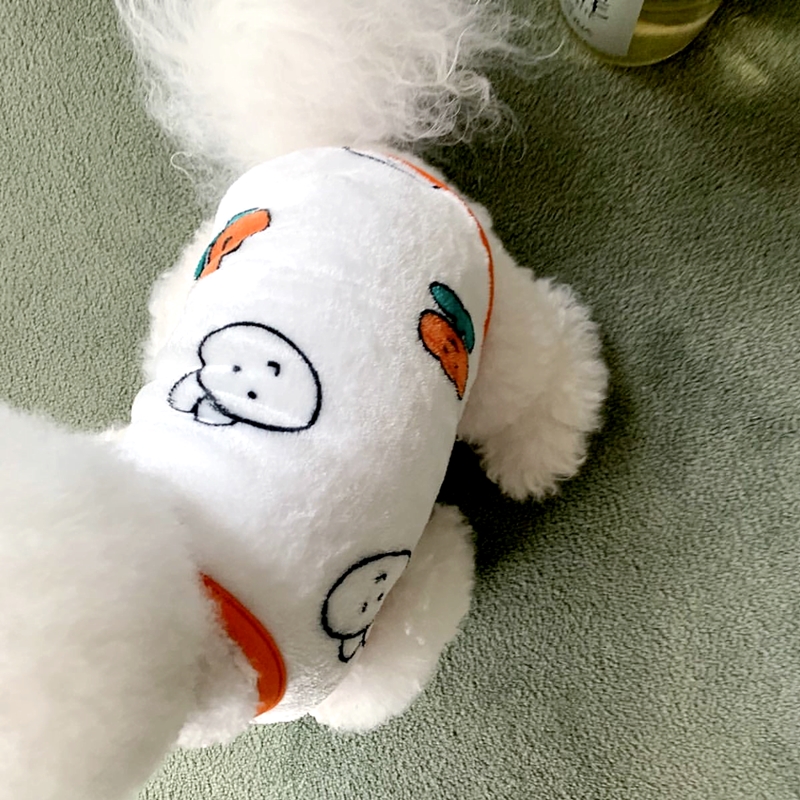 Güzel küçük köpek tavşan desen - Winter Clothing Patterns incelemesi ve fiyatı