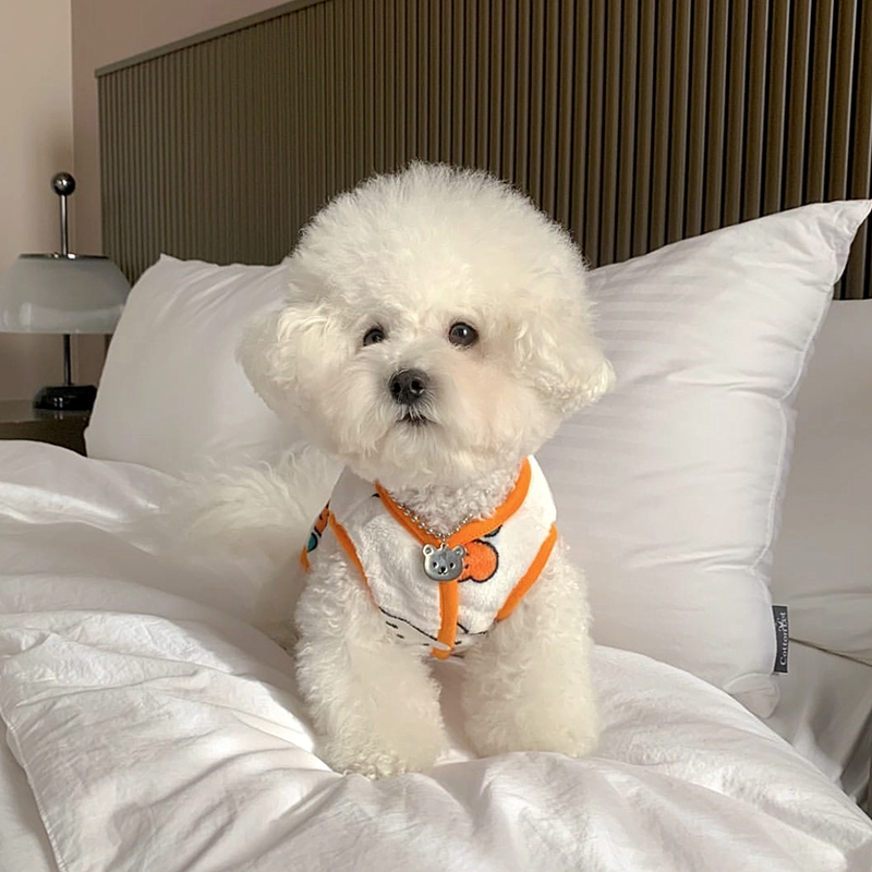 Güzel küçük köpek tavşan desen - Winter Clothing Patterns incelemesi ve fiyatı